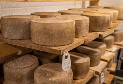 Can You Turn a Wine Fridge into a Cheese Cave?