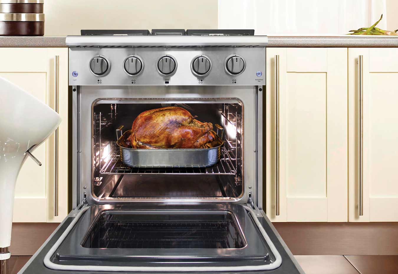 What's the Best Type of Oven for Home Use? Vinotemp