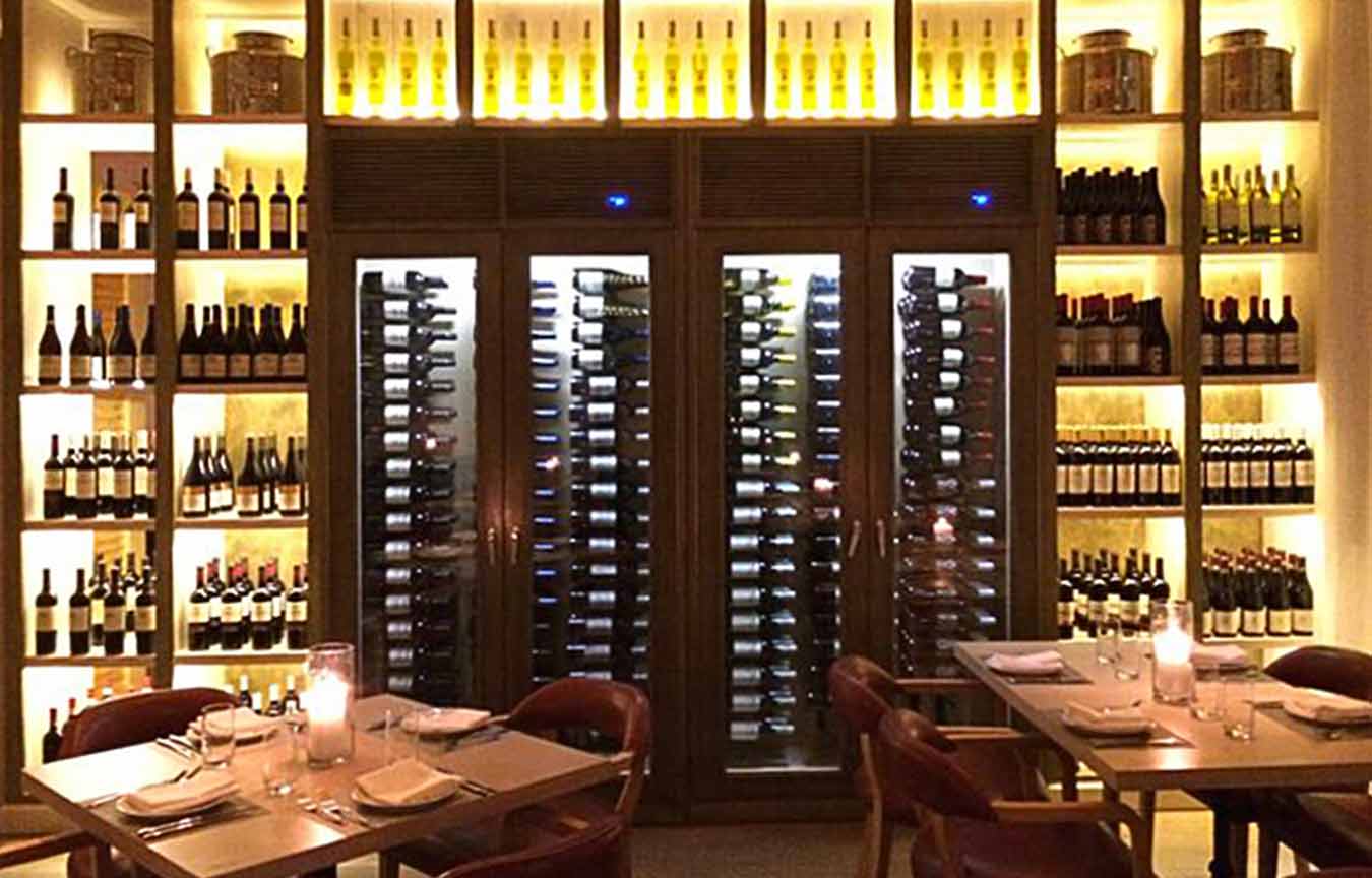 What Features Should a Wine Have? Vinotemp