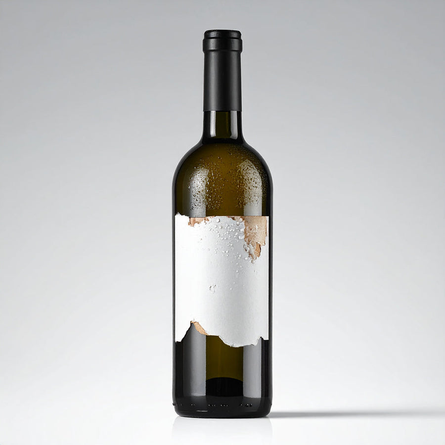 Why Humidity Control Is Just as Important as Temperature Control in Wine Cellars