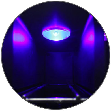 Top Interior Light