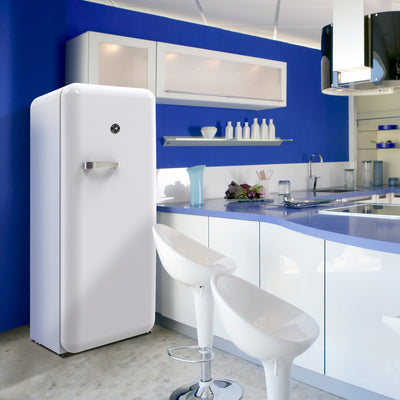 Brama by Vinotemp Retro Refrigerator, in White